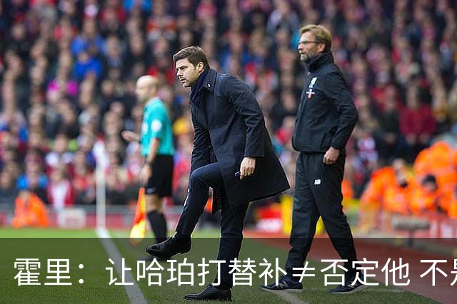 霍里：让哈珀打替补≠否定他 不是说他不是超巨&他正在路上！